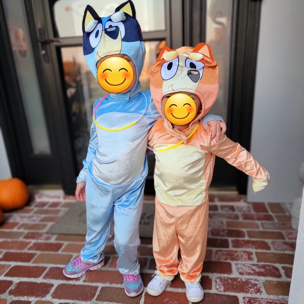 Bingo and Bluey Costumes
